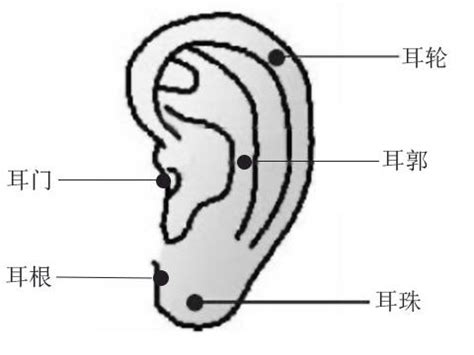 男人右耳垂有痣|耳朵痣的位置与命运图解大全